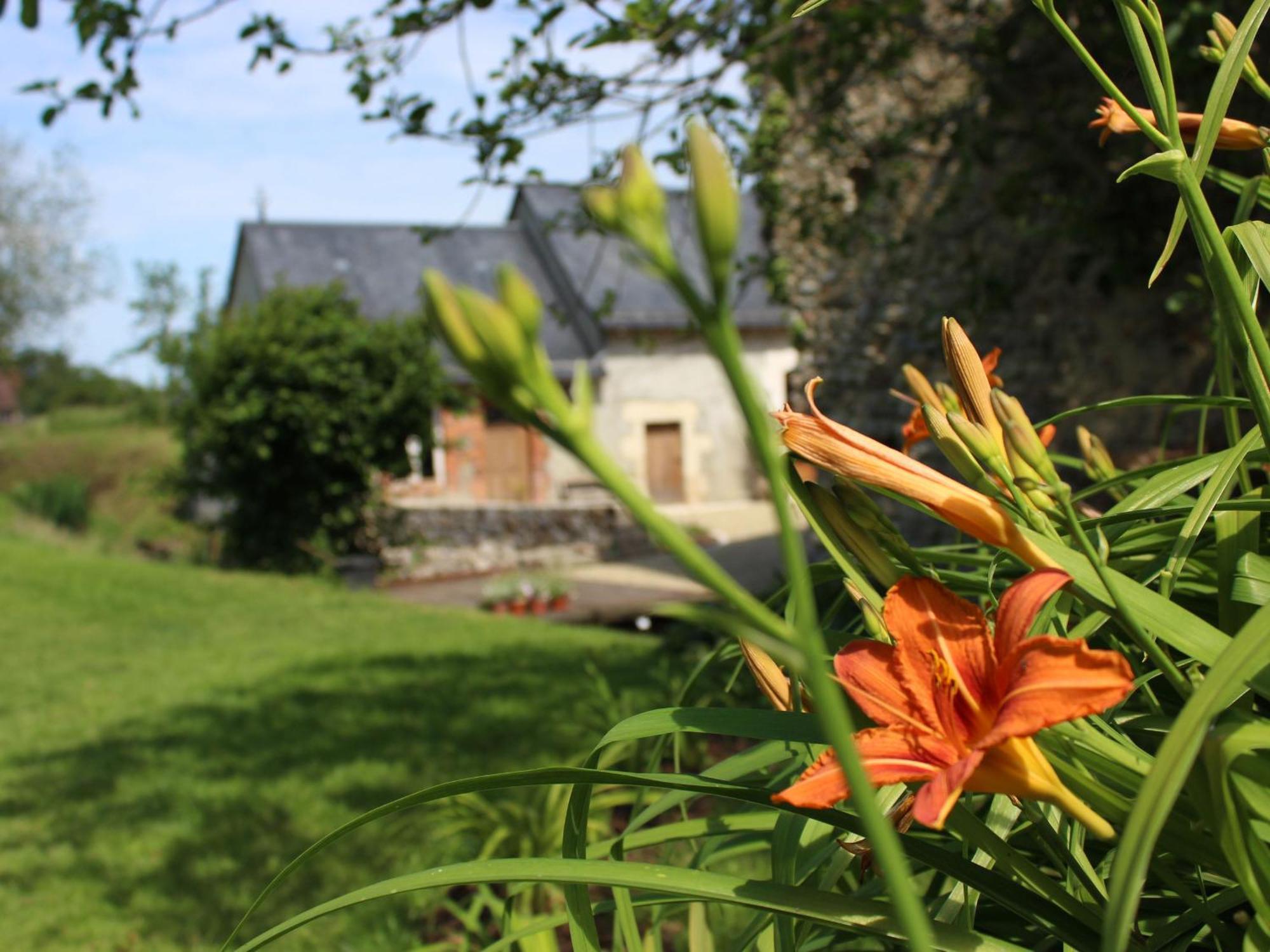 Gîte Cérans-Foulletourte-Cérans, 2 pièces, 6 personnes - FR-1-410-258 Exterior foto